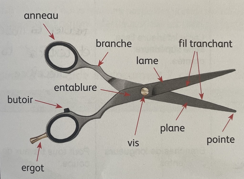 schema